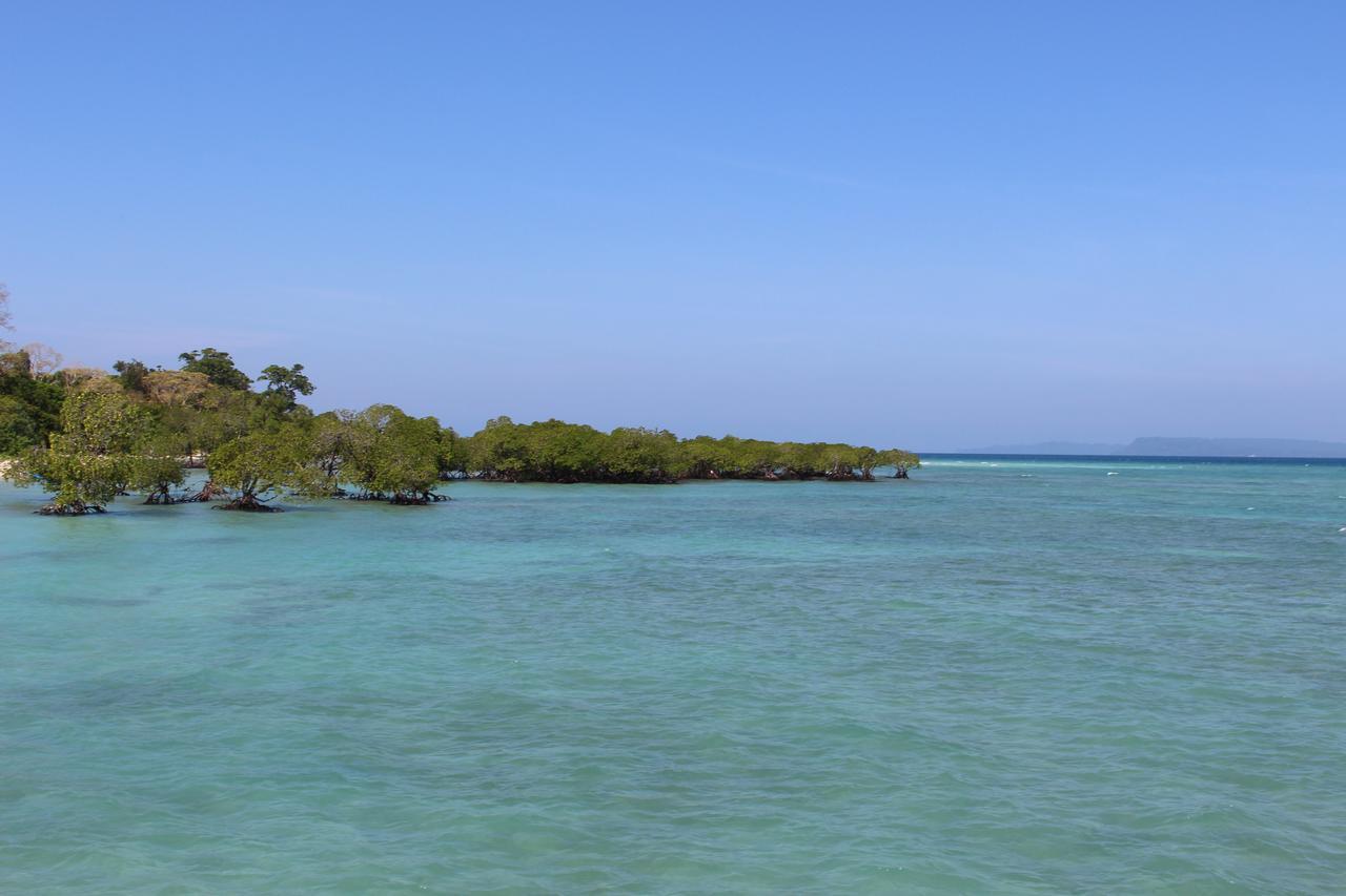 Silver Sand Beach Resort Neil Lakshmanpur Buitenkant foto